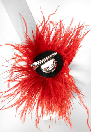 Broszka spinka z koralowymi piórami