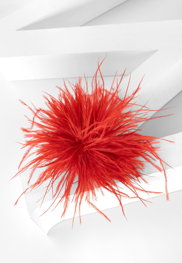 Broszka spinka z koralowymi piórami