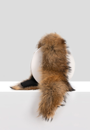 Krótki szal z naturalnego futra