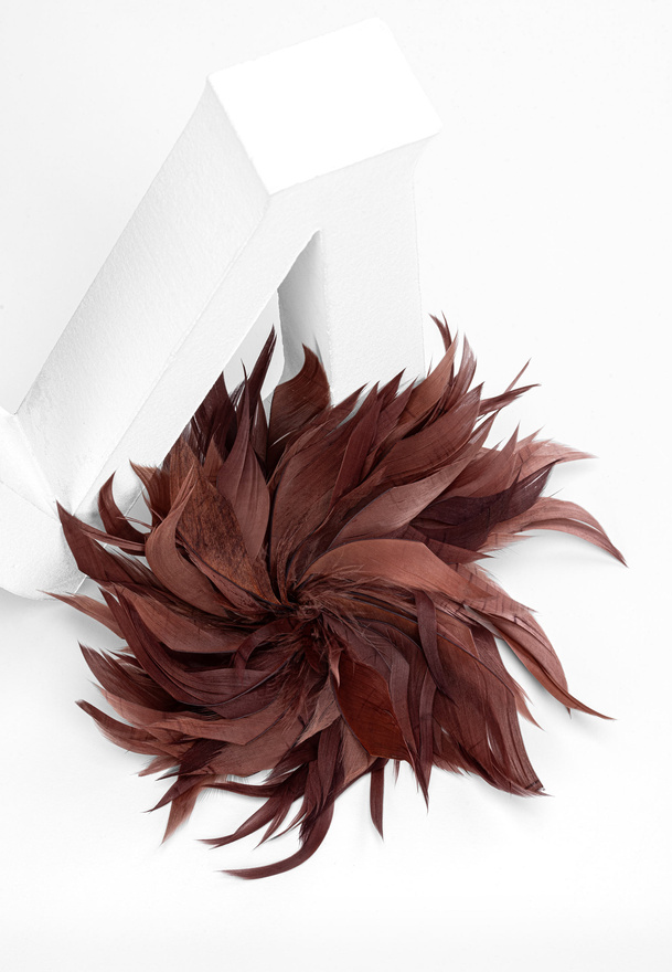 Broszka spinka z piórami w kolorze brązowym